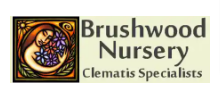 Brushwood Nursery